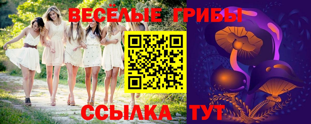 Псилоцибиновые грибы Magic Shrooms  Псилоцибиновые грибы прущие грибы  Вход с VPN  Лесосибирск 