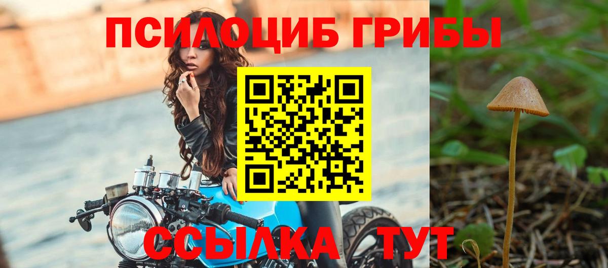 Псилоцибиновые грибы мухоморы Лесосибирск